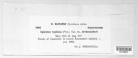Epichloe typhina image